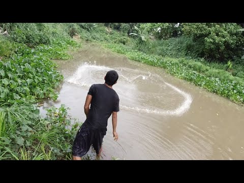 SE03EP129 - SABAK sa PUTIKAN | UNANG KARPA SA TAG ULAN | PUTIK at BAHA - San Pablo City, Laguna