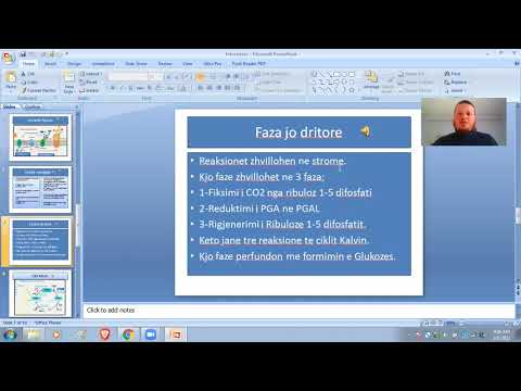 Bledi Lipo Trajtimi i Fotosintezes