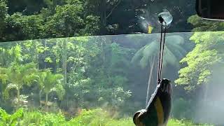 J&D on the sea.#jamaica #travel #excursions  #cruiselife