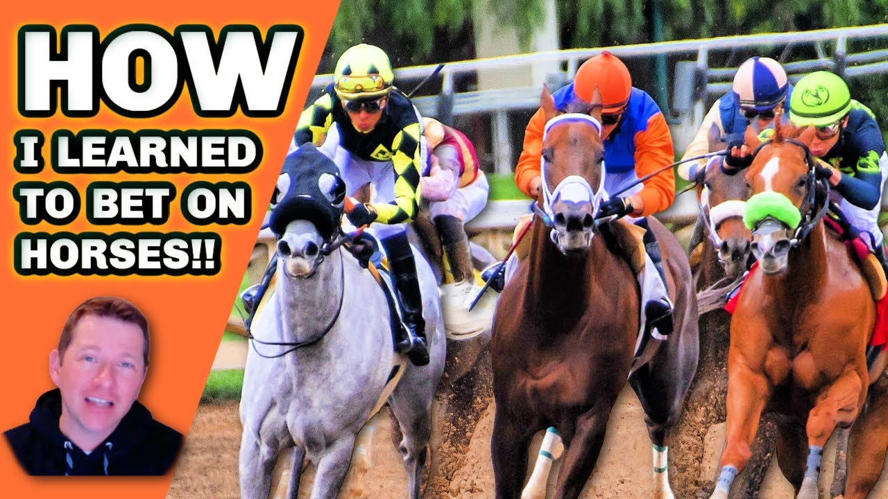 How I Learned To BET HORSE RACING Successfully! | Expert Tips To Help Improve Your Handicapping!
