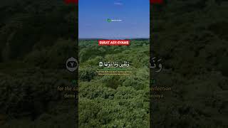 Download lagu SURAT ASY SYAMS AYAT 1-10 | SALIM BAHANAN mp3 Download lagu SURAT ASY SYAMS AYAT 1-10 | SALIM BAHANAN mp3