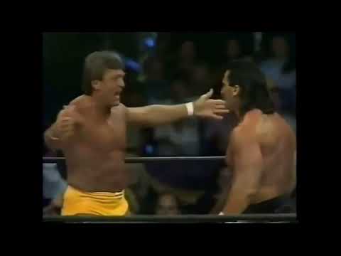 Pretty Wonderful (Paul Orndorff Paul Roma) vs. David Walby Leroy Howard - 5/17/1994 - WCW