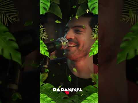 BANDA PAPANINFA ANIMAÇÃO