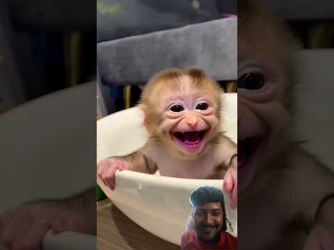 short video #b #m #b #mr10 #viralvideo #alightmotion #alaightmotionedit #alightmotion371 #cute #mo