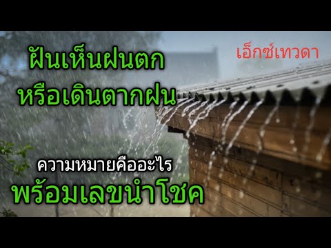 ฝันเห็นฝนตกหรือได้เดินตากฝน ความหมายคืออะไรมีเลขนำโชคตัวไหนบ้าง#เอ็กซ์เทวดา
