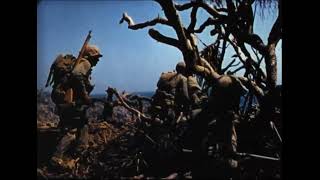 Black Label Society- Life / Birth / Blood / Doom (slowed)