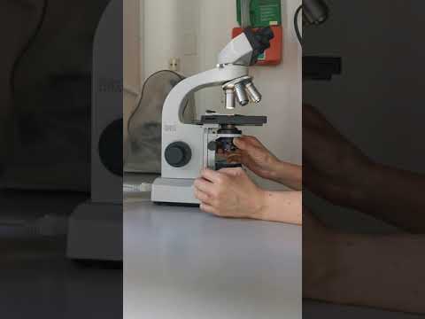 5  Mikroskop einstellen