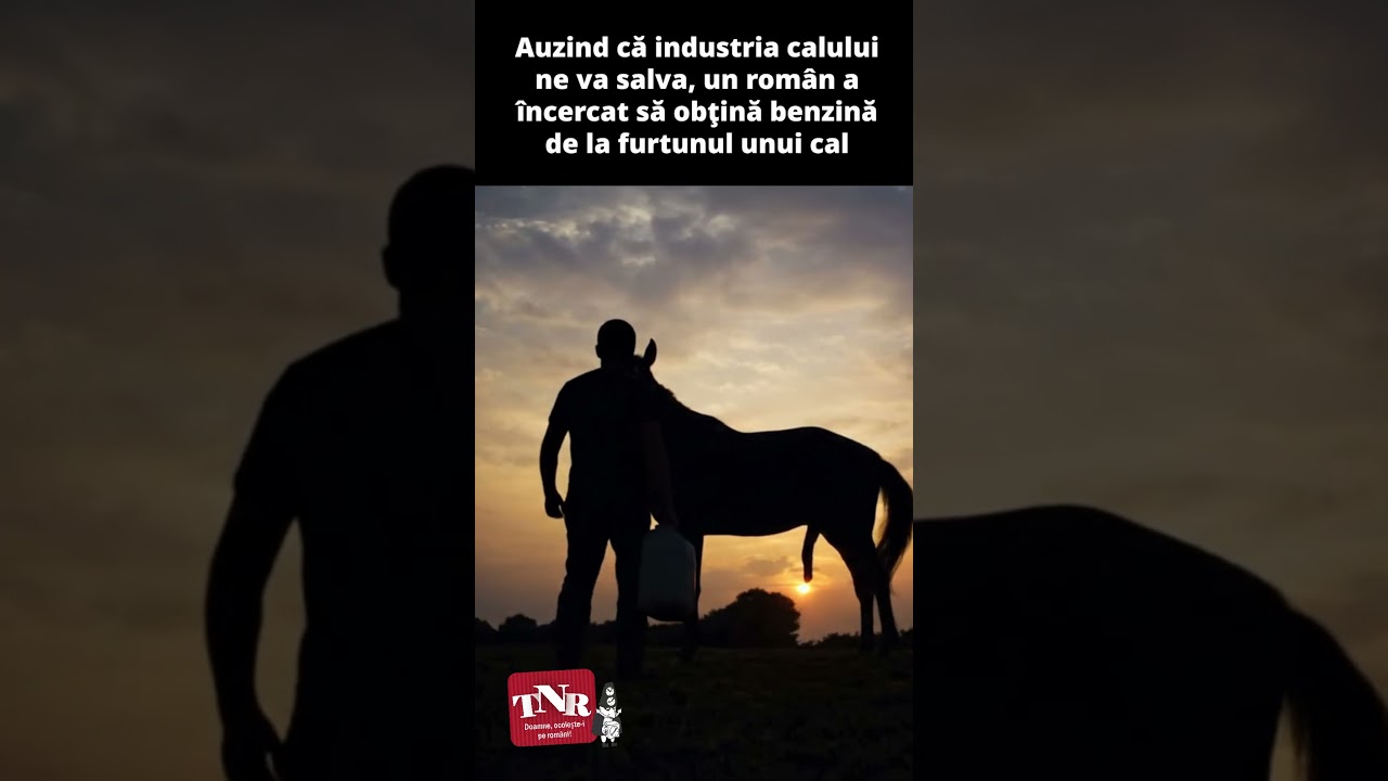 Auzind că industria calului ne va salva, un român a încercat să obţină benzină de la furtunul unui cal