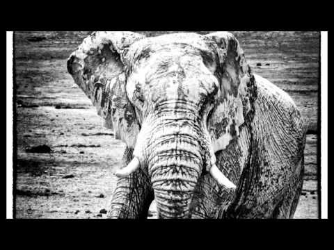 Afrika 2015 Namibia Botswana Simbabwe