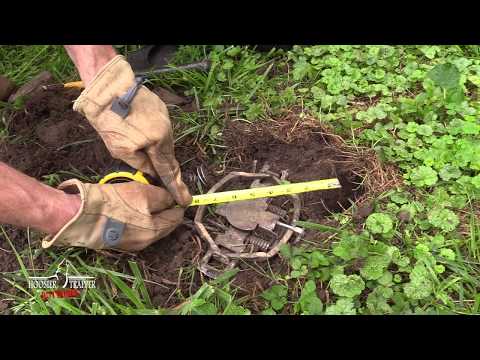 Coyote Trap Placement