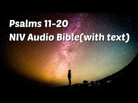 Psalms 11-20: NIV Audio Bible(with text)