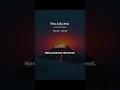 BALKANITO JAKA ŽENA NINA Official Lyric Video