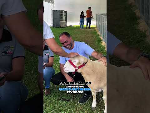 Campos Novos / Santa Catarina