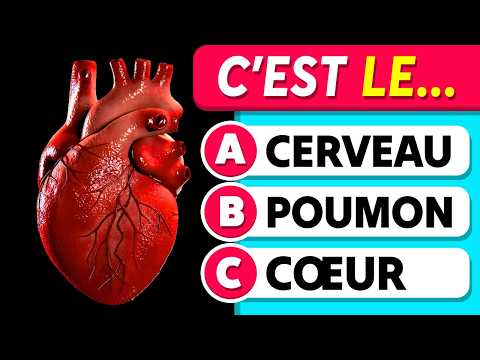 Quiz Culture Générale : Connais-tu le Corps Humain ? 🧍🧠✅ 40 Questions