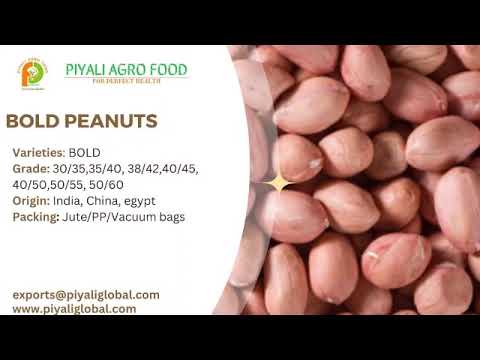 Bold Peanuts Supplier-All Varieties Available