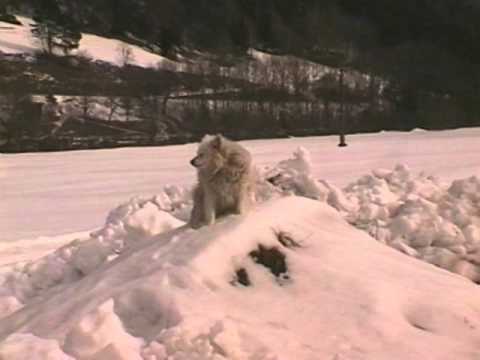 Trailer Mystisches Mölltal - Dokumentation