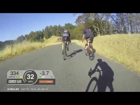 Levi's Fondo. PANZER