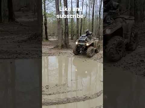 @336MudMafia. #4wheeler #buscobeach #canam #wildboar #mud  @TrinitySwampRats  @BraydonPrice.
