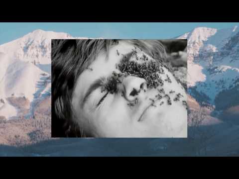 Alexander Zaloopin and Uvazhaemiy in Berlin. 