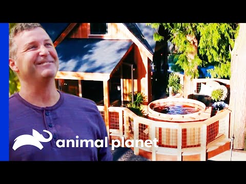 Treehouse 'Rumpus Room' Has A Private Hot Tub! | Treehouse Masters