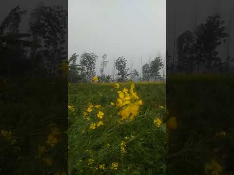 Sarabjeet! natural beauty! dar hai tujhe main kho na du. mile jo khuda to bol du.