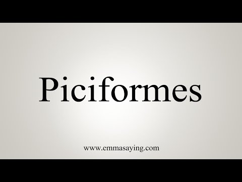 How To Say Piciformes