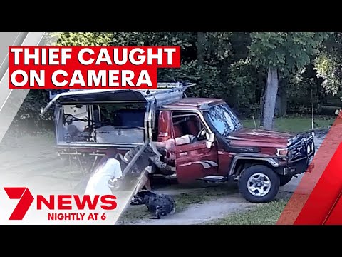 Queensland couple fights off Land Cruiser's thief | 7NEWS