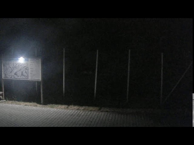 Live webcam view of Pistas Deportivas de Salamandra Resort