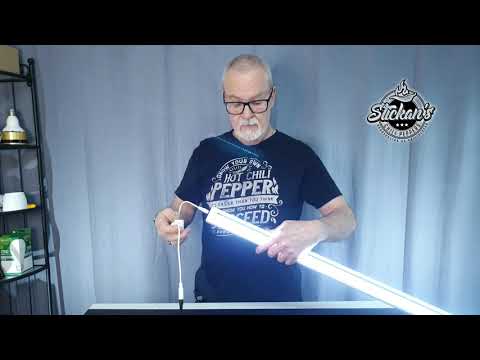 YouTube video about: Where can I buy primula light?