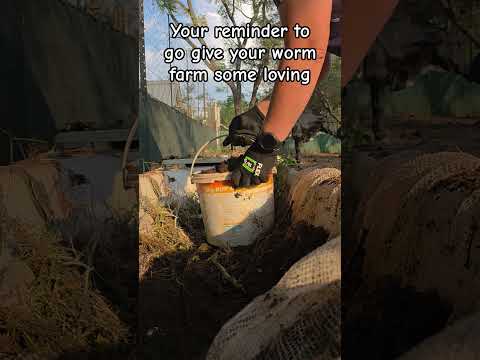 Gourd Worm Farm Check-Up: Essential Maintenance Tips