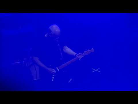 David Gilmour - Peter Green Tribute - 2020-02-25 - London Palladium, London, UK  (nipote multicam)