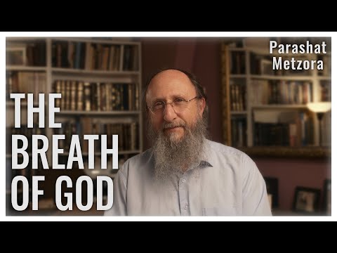 The Words of Our Lives | Parashat Metzora 5784