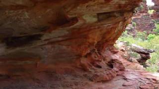 preview picture of video 'A Walk through the Kimberley Kununurra 6'