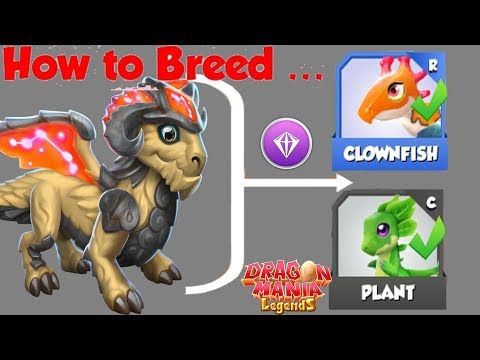 Breeding Blitz , Do you have Aries Dragon !? , Dragon Mania Legends Gameplay Walkthrough Part 1531HD