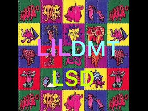 LILDMT-LSD