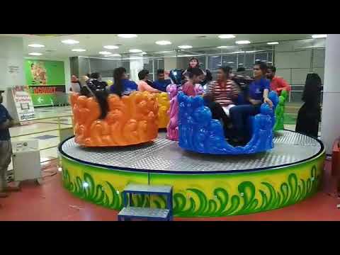 Amusement Dolphin Ride