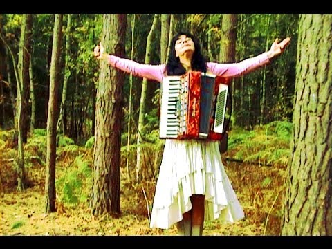 WIESŁAWA DUDKOWIAK - istrumental accordion version "MAŁA KAWIARNIA"
