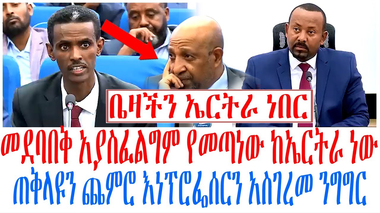 መደባበቅ አያስፈልግም የመጣነው ከኤርትራ ነው ጠቅላዩን ጨምሮ እነፕሮፌሰርን አስገረ