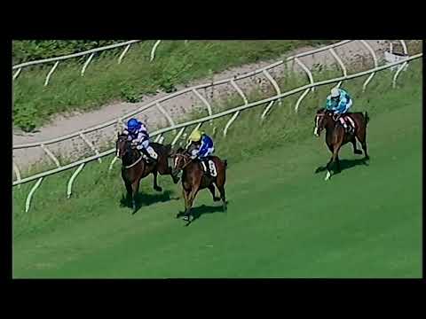 Napoli Galoppo 02/09/2022 - 1ª corsa