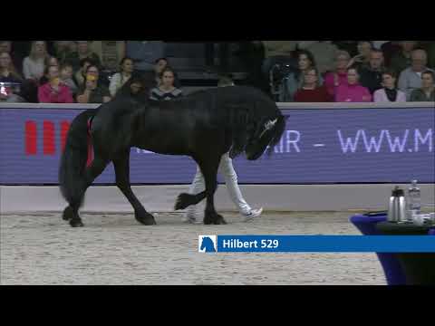 HK 2024   Event 6   Studbook Stallions approved from breeding season 2021   French