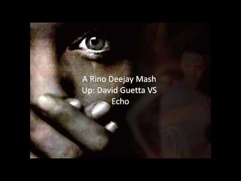 David Guetta vs Echo(Rino Dj Remix).wmv