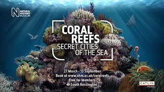Meet the residents of the reef at Coral Reefs: Secret Cities of the Sea | Natural History Museum