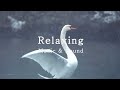 3HRS The Swan Saint Saëns Most Peaceful Beautiful Piano Music Relaxing Piano Poetic Calm