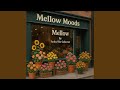 Joy (feat. Mellow moods)