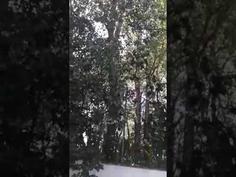 ME CHAMA DE PAPEL HIGIÊNICO---MC Fabinho da OSK🔴MC Mr. Bin(DJ Felipe Único)