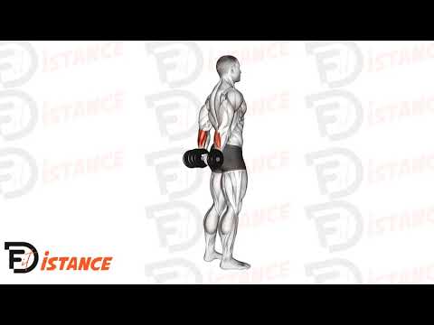 Curl des poignets derrière le dos aux haltères - Exercice Curl des poignets derrière le dos aux haltères en vidéo