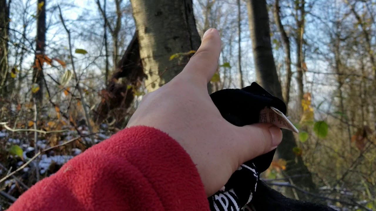 Identification of tree in winter - YouTube