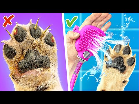 Save your dog from pimples❗️*Best Gadgets and Hacks for Pet Owners*