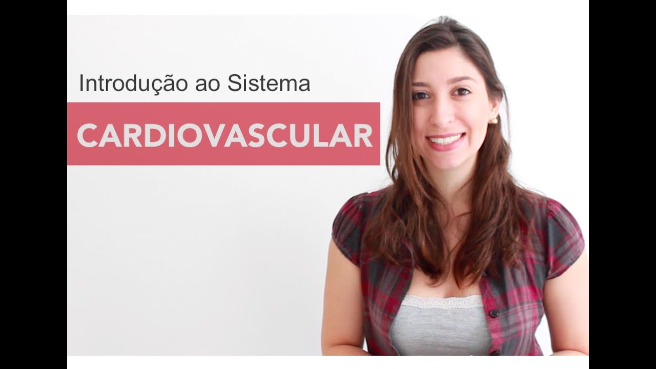 Sistema Cardiovascular 1/6: Introdução | Anatomia e etc.