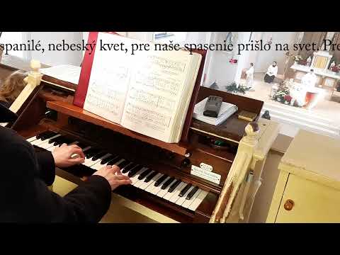 JKS 46 - Dieťatko spanilé